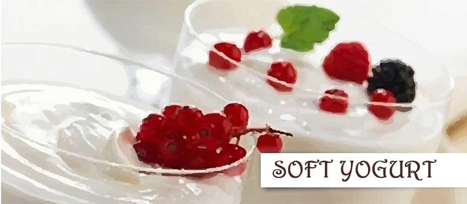 soft yogurt
